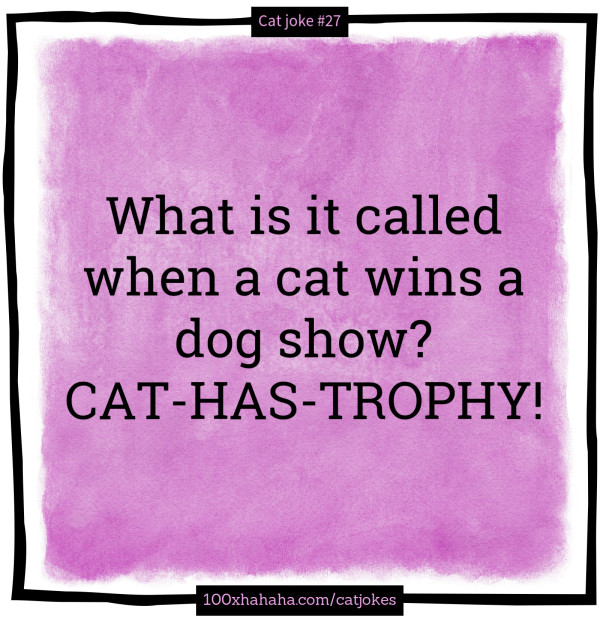 What is it called when a cat wins a dog show? CAT-HAS-TROPHY!