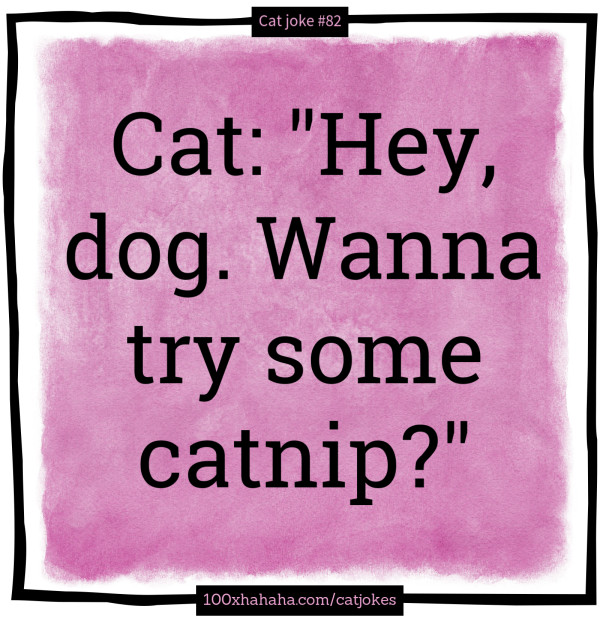 Cat: "Hey, dog. Wanna try some catnip?"