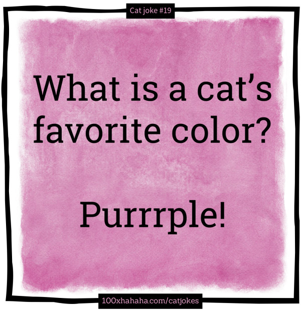 Funny cat oneliners What is a cat's favorite color? Purrrple
