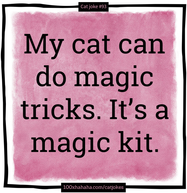 My cat can do magic tricks. It's a magic kit.