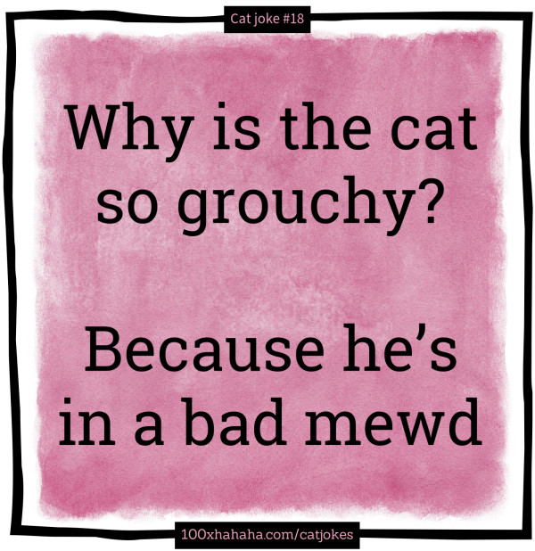 Why is the cat so grouchy? / / Because he's in a bad mewd