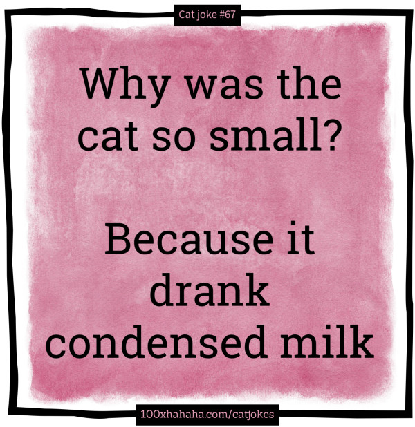 Why was the cat so small? / / Because it drank condensed milk