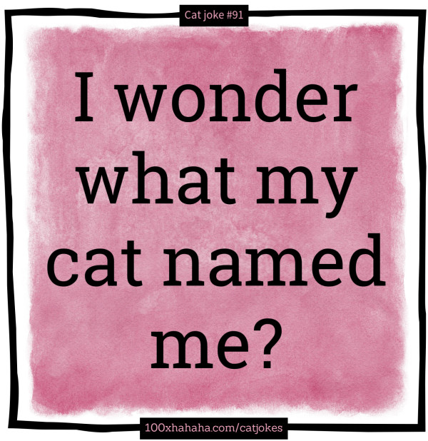 I wonder what my cat named me?