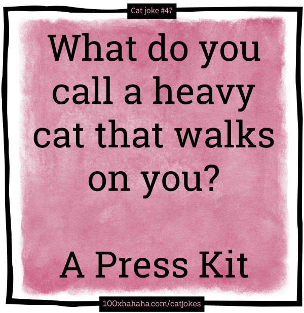 What do you call a heavy cat that walks on you? / / A Press Kit