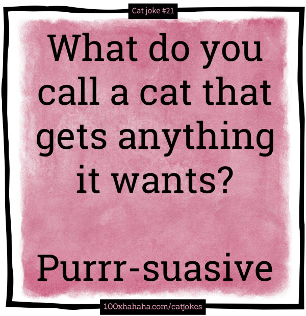 What do you call a cat that gets anything it wants? / / Purrr-suasive