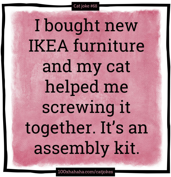 I bought new IKEA furniture and my cat helped me screwing it together. It's an assembly kit.