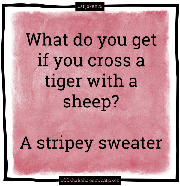 What do you get if you cross a tiger with a sheep? / / A stripey sweater