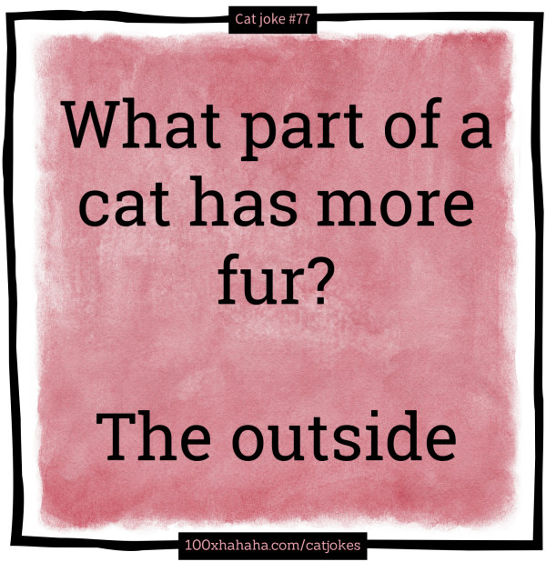 What part of a cat has more fur? / / The outside