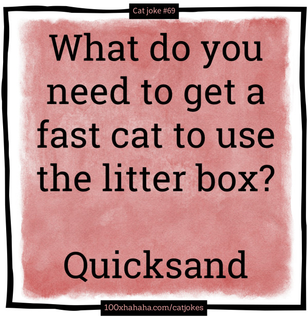 What do you need to get a fast cat to use the litter box? / / Quicksand