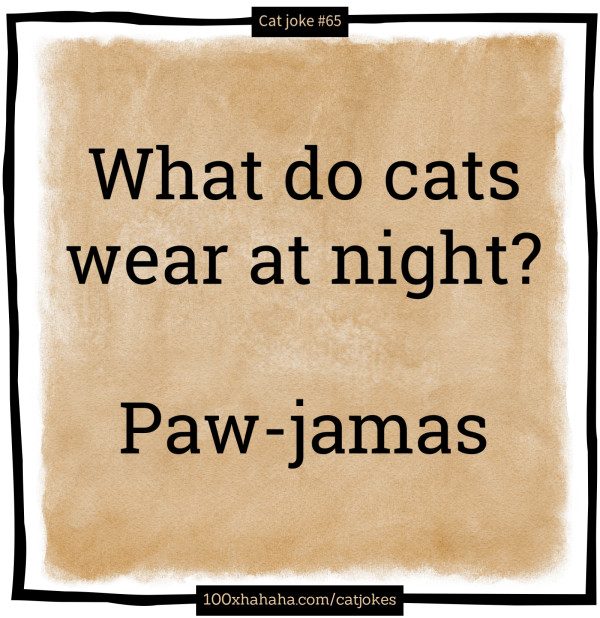 What do cats wear at night? / / Paw-jamas