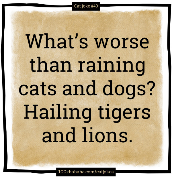 What's worse than raining cats and dogs? Hailing tigers and lions.
