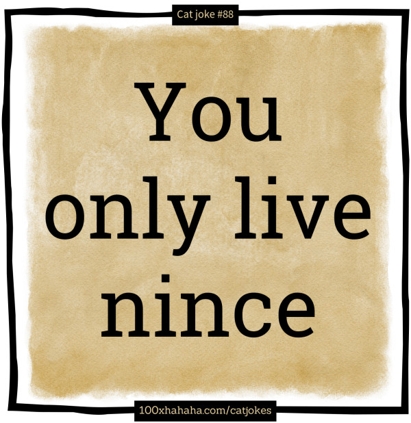 You only live nince