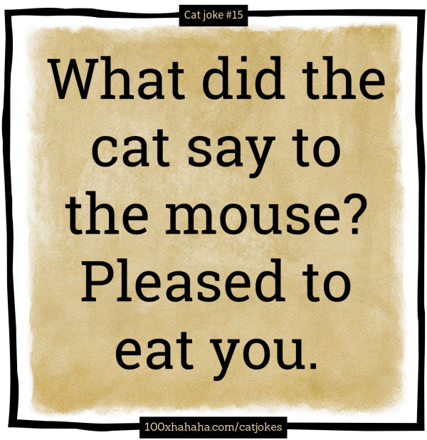 What did the cat say to the mouse? Pleased to eat you.