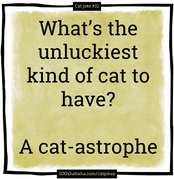 What's the unluckiest kind of cat to have? / / A cat-astrophe