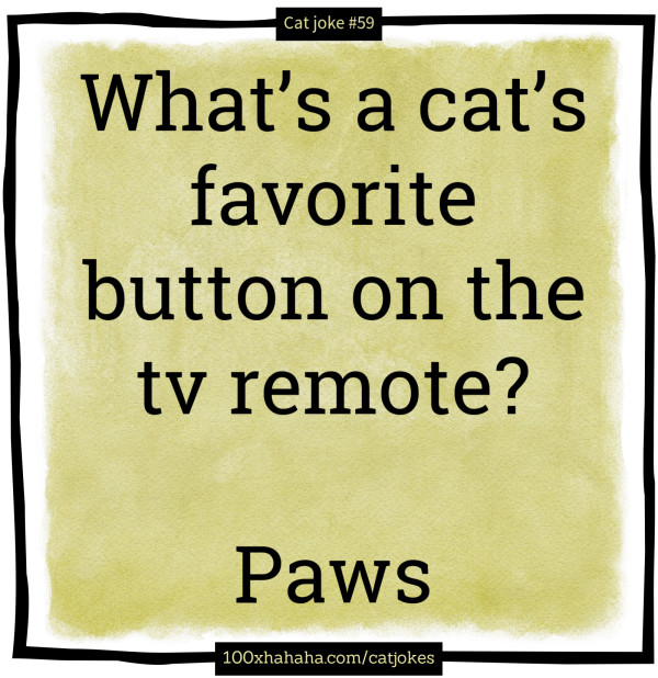 What's a cat's favorite button on the tv remote? / / Paws