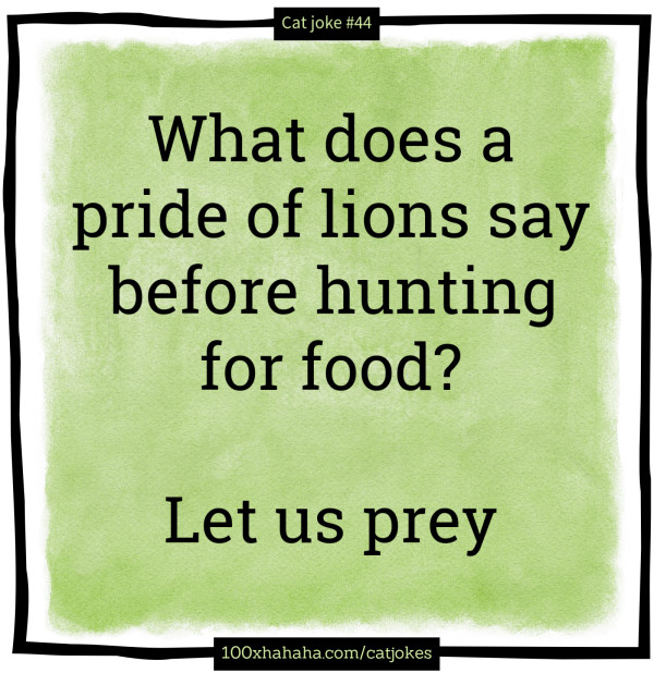 What does a pride of lions say before hunting for food? / / Let us prey