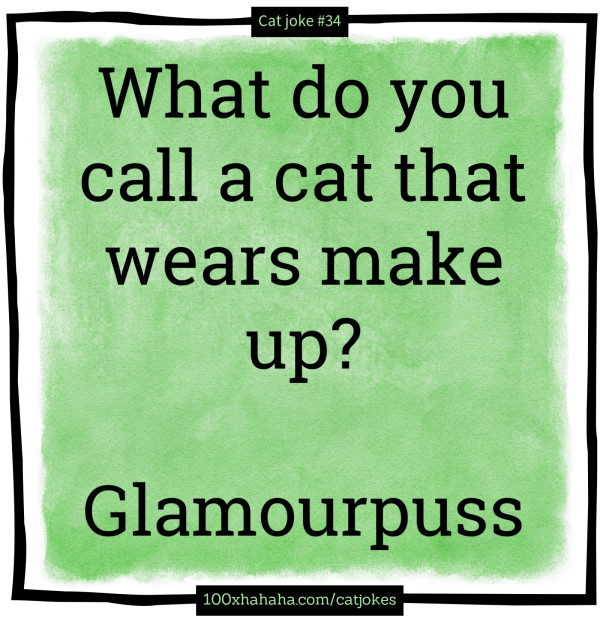 What do you call a cat that wears make up? / / Glamourpuss