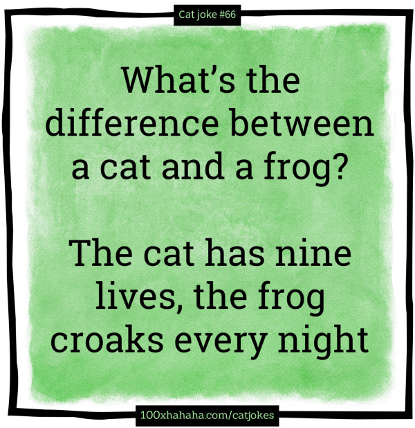 What's the difference between a cat and a frog? / / The cat has nine lives, the frog croaks every night