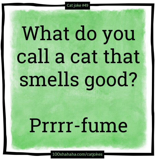 What do you call a cat that smells good? / / Prrrr-fume