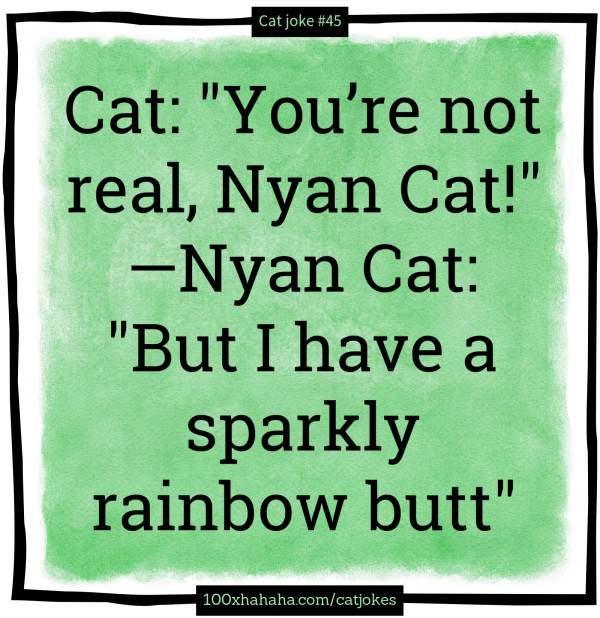 Cat: "You're not real, Nyan Cat!" —Nyan Cat: "But I have a sparkly rainbow butt"