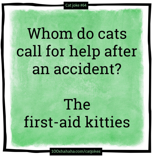 Whom do cats call for help after an accident? / / The first-aid kitties