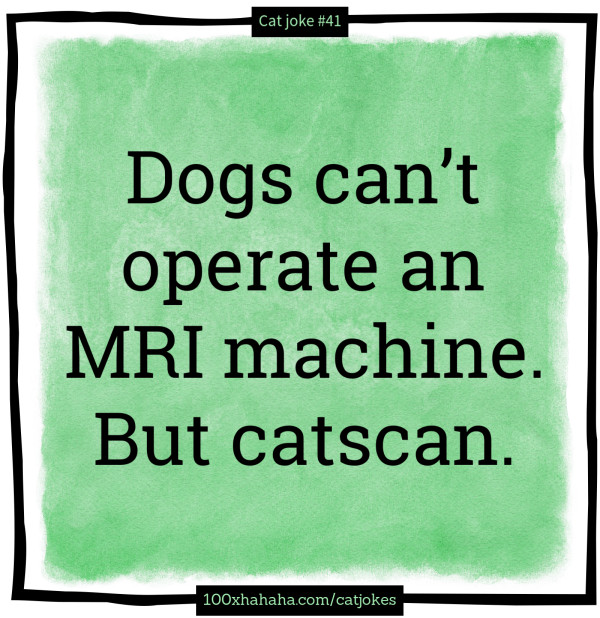 Dogs can't operate an MRI machine. But catscan.