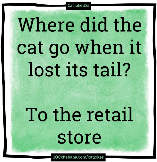 Where did the cat go when it lost its tail? / / To the retail store
