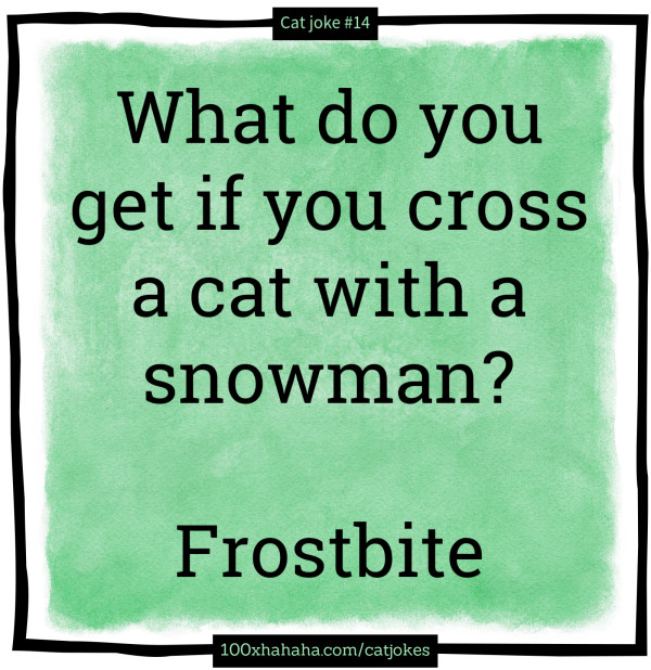 What do you get if you cross a cat with a snowman? / / Frostbite