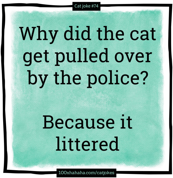 Why did the cat get pulled over by the police? / / Because it littered