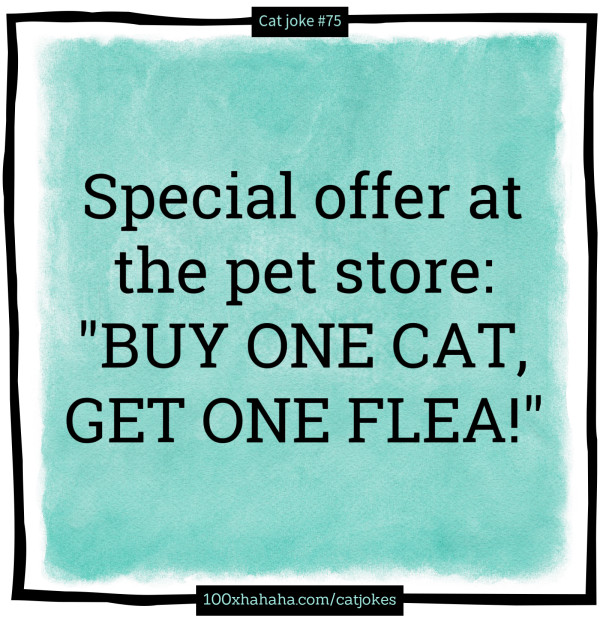 Special offer at the pet store: "BUY ONE CAT, GET ONE FLEA!"