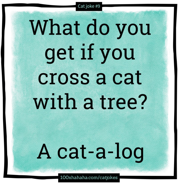 What do you get if you cross a cat with a tree? / / A cat-a-log