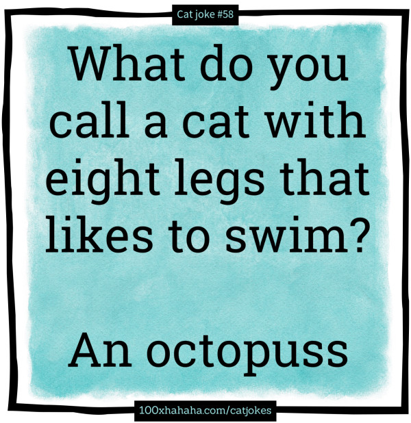 What do you call a cat with eight legs that likes to swim? / / An octopuss