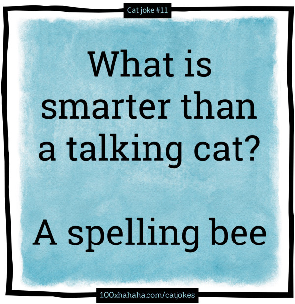 What is smarter than a talking cat? / / A spelling bee