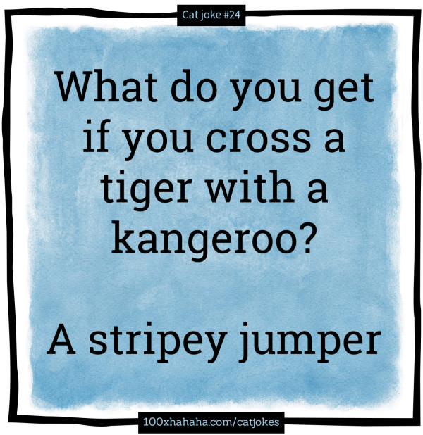 What do you get if you cross a tiger with a kangeroo? / / A stripey jumper