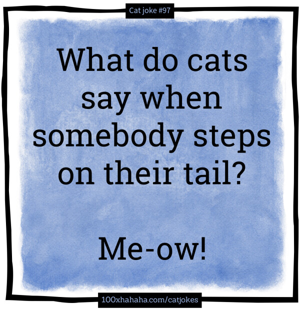 What do cats say when somebody steps on their tail? / / Me-ow!