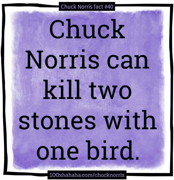 Chuck Norris can kill two stones with one bird