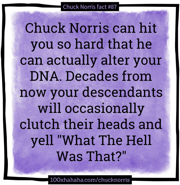 Chuck Norris can hit you so hard that he can actually alter your DNA. Decades from now your descendants will occasionally clutch their heads and yell "What The Hell Was That?"