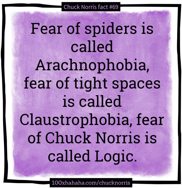 Fear of spiders is called Arachnophobia, fear of tight spaces is called Claustrophobia, fear of Chuck Norris is called Logic