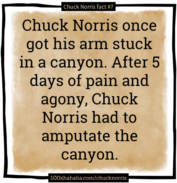 Chuck Norris once got his arm stuck in a canyon. After 5 days of pain and agony, Chuck Norris had to amputate the canyon.