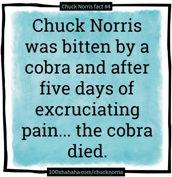 Chuck Norris was bitten by a cobra and after five days of excruciating pain... the cobra died.
