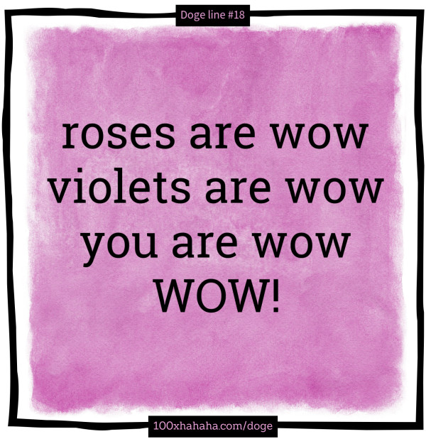 roses are wow / violets are wow / you are wow / WOW!