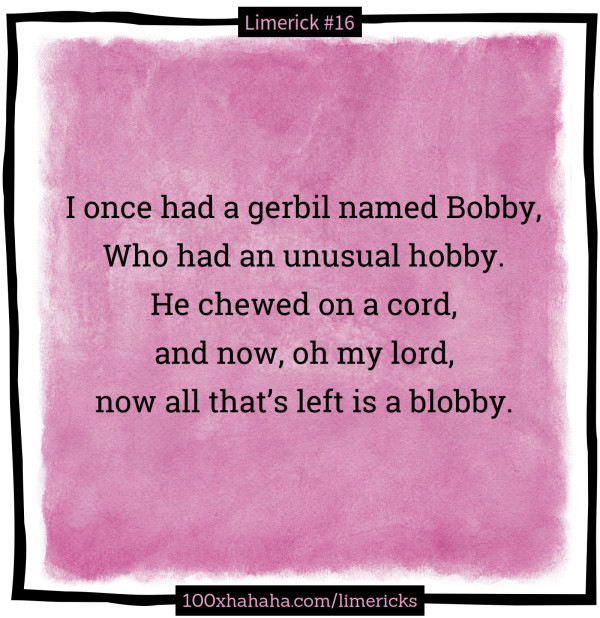 I once had a gerbil named Bobby, / Who had an unusual hobby. / He chewed on a cord, / and now, oh my lord, / now all that's left is a blobby.
