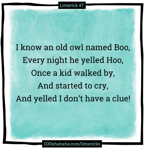 I know an old owl named Boo, / Every night he yelled Hoo, / Once a kid walked by, / And started to cry, / And yelled I don't have a clue!