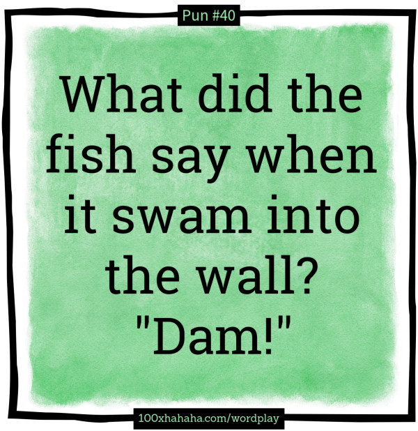 What did the fish say when it swam into the wall? "Dam!"