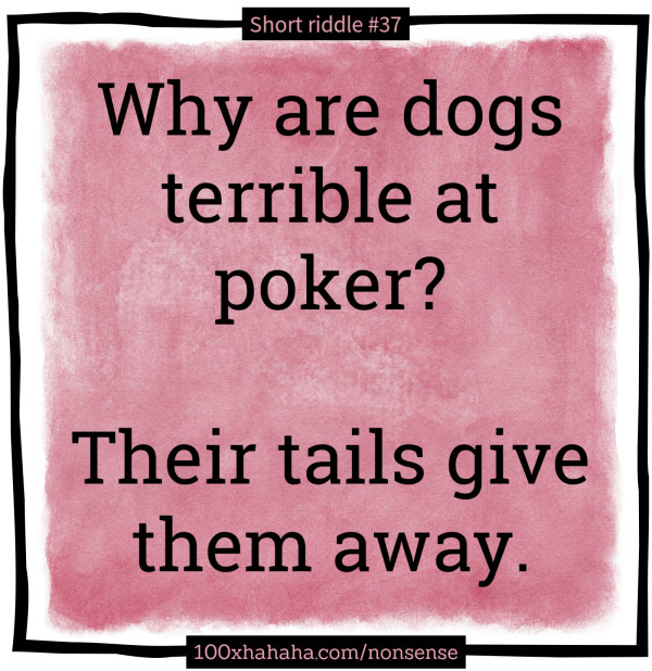 Why are dogs terrible at poker? / / Their tails give them away.