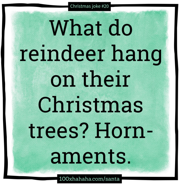 What do reindeer hang on their Christmas trees? Horn-aments.