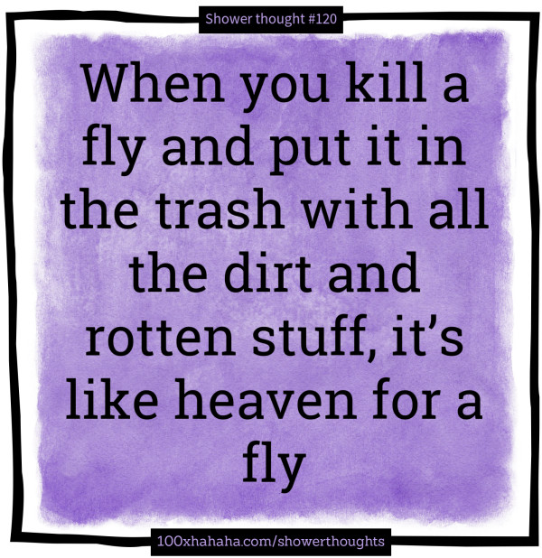 When you kill a fly and put it in the trash with all the dirt and rotten stuff, it's like heaven for a fly