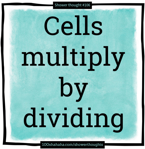 Cells multiply by dividing