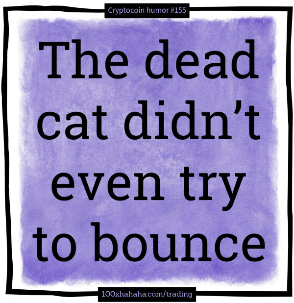 The dead cat didn't even try to bounce