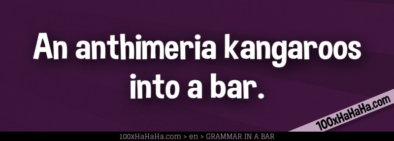 An anthimeria kangaroos into a bar.